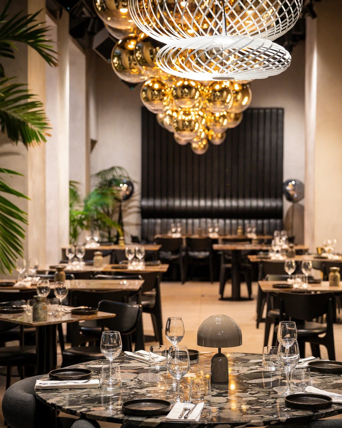 488711932_1249192373415784_5011042529605072361_n