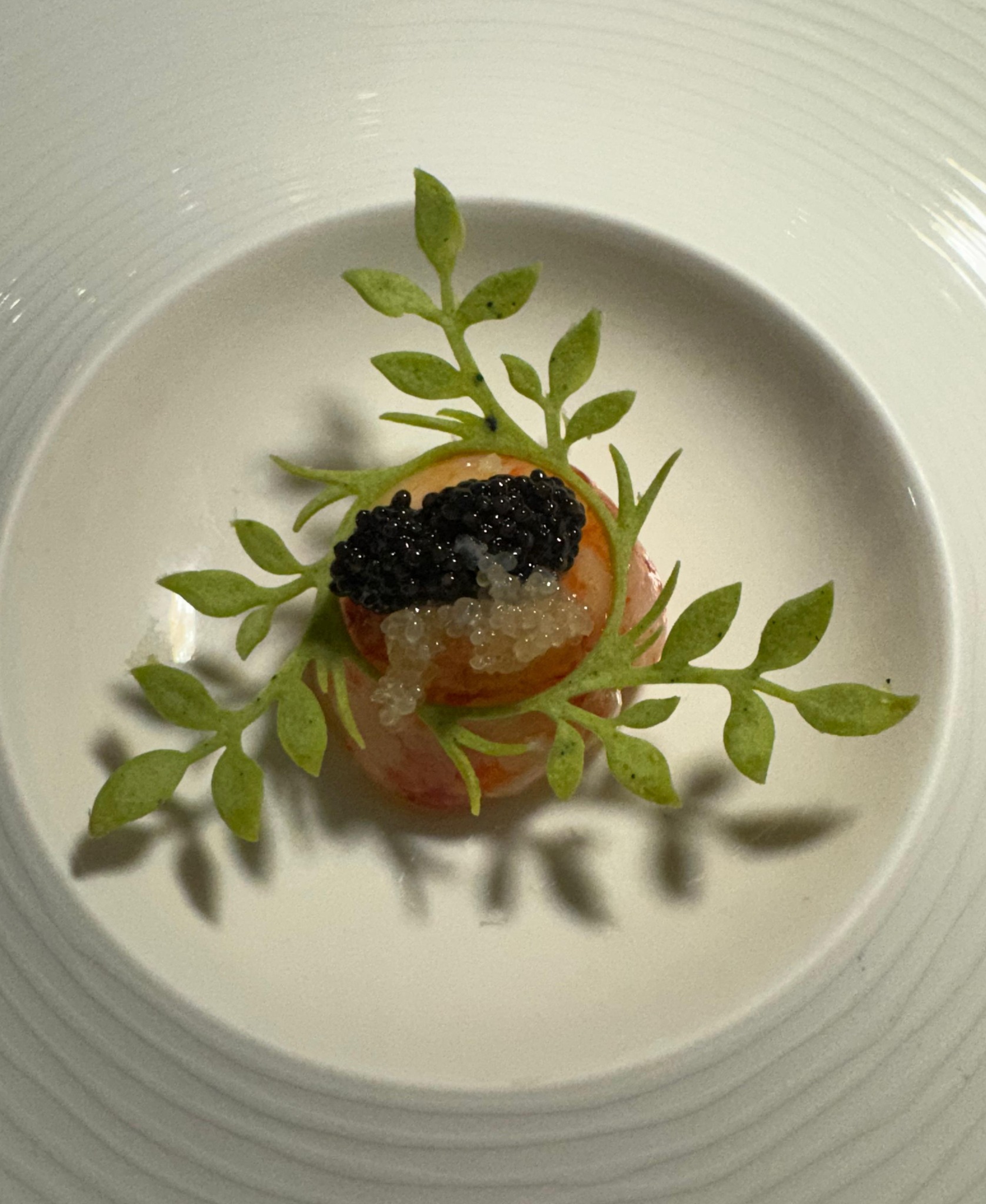 496296646_1063403825773313_8205017886442994728_n